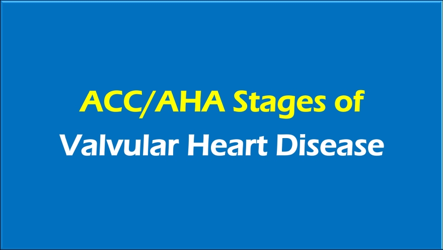 ACC AHA Stages Of Valvular Heart Disease All About Cardiovascular System And Disorders