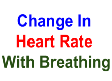 Change in heart rate with breathing