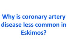Why is coronary artery disease less common in Eskimos
