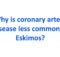 Why is coronary artery disease less common in Eskimos