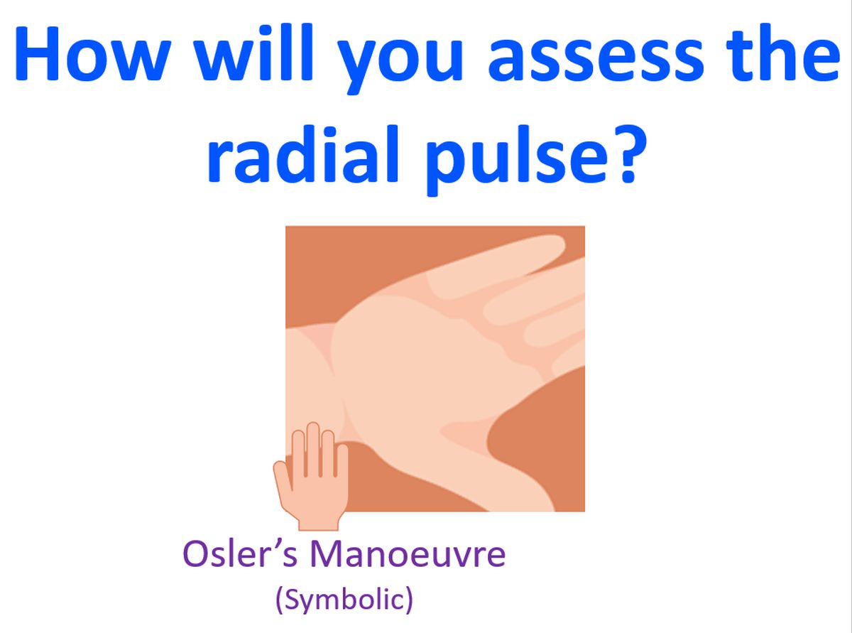 How will you assess the radial pulse