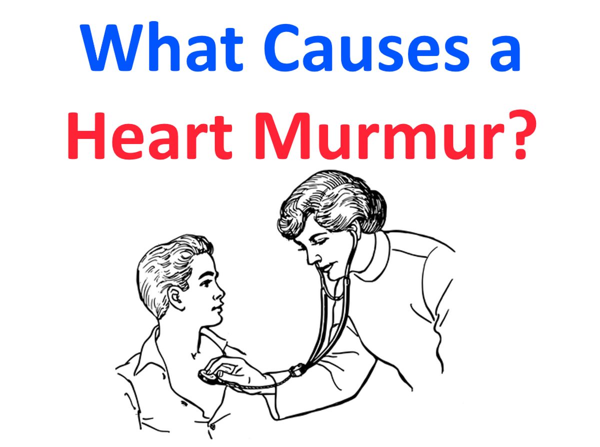 What Causes a Heart Murmur? - All About Heart And Blood Vessels