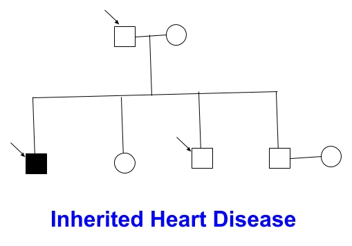 Inherited Heart Disease