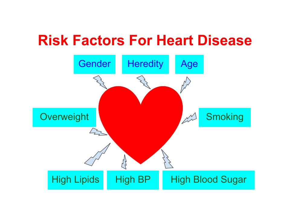 Risk factors for heart disease - All About Heart And Blood Vessels