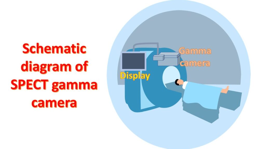 Schematic diagram of SPECT gamma camera