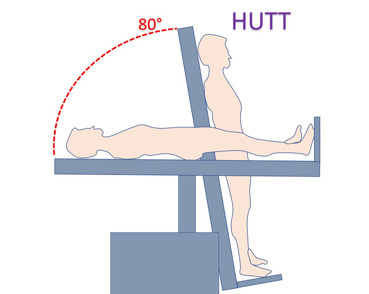 What is head up tilt test (HUTT)? - All About Heart And Blood Vessels