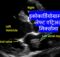 इकोकार्डियोग्राम पर लेफ्ट एट्रिअल मिक्सोमा।