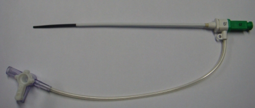 Dilated inserted within the arterial sheath, ready for introduction