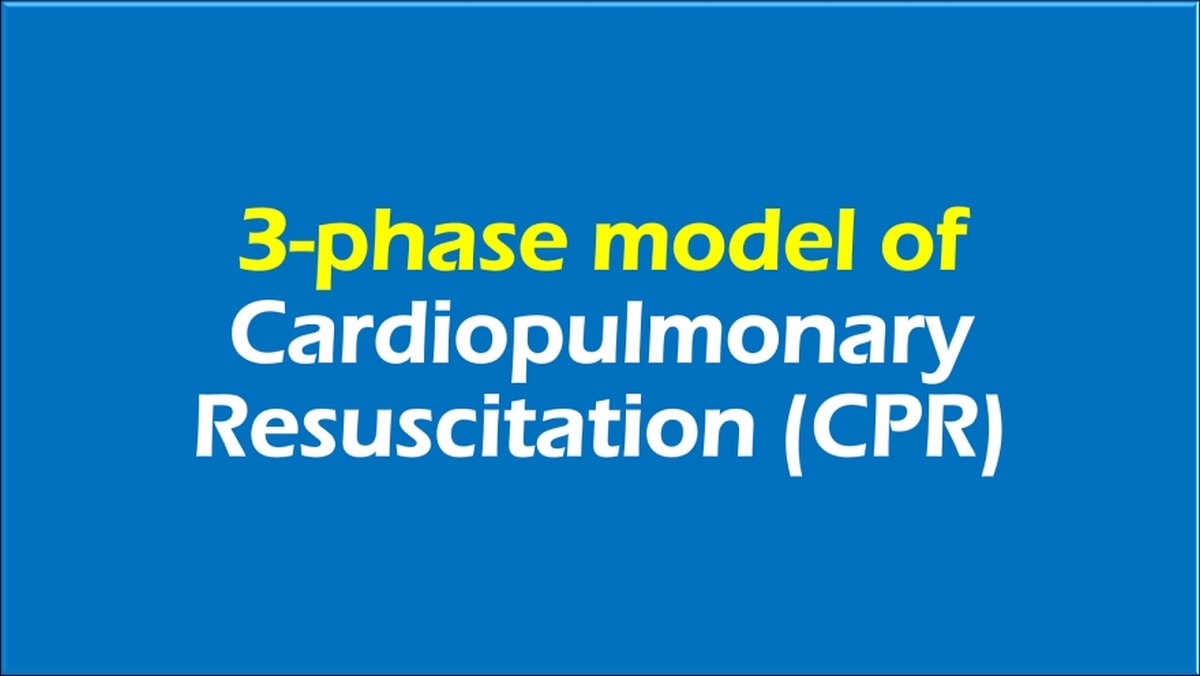 3-phase model of cardiopulmonary resuscitation (CPR)