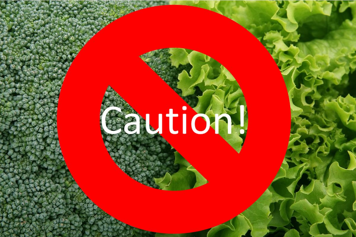 Caution with green leafy vegetables while on Warfarin!