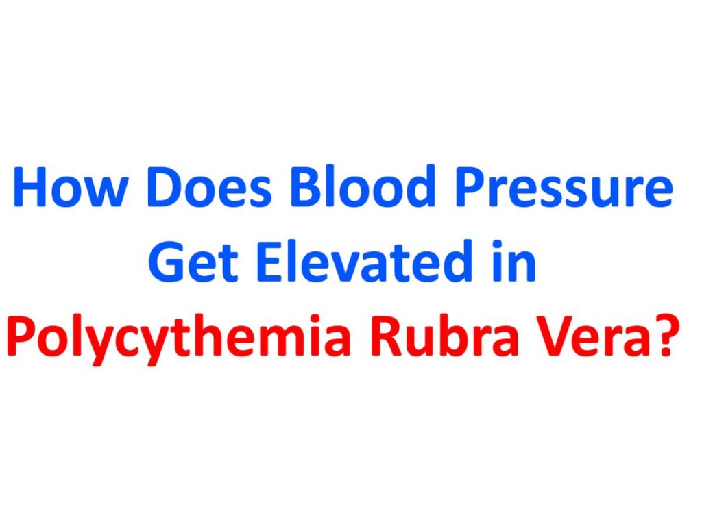 How Does Blood Pressure Get Elevated in Polycythemia Rubra Vera