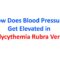 How Does Blood Pressure Get Elevated in Polycythemia Rubra Vera
