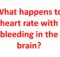 What happens to heart rate with bleeding in the brain