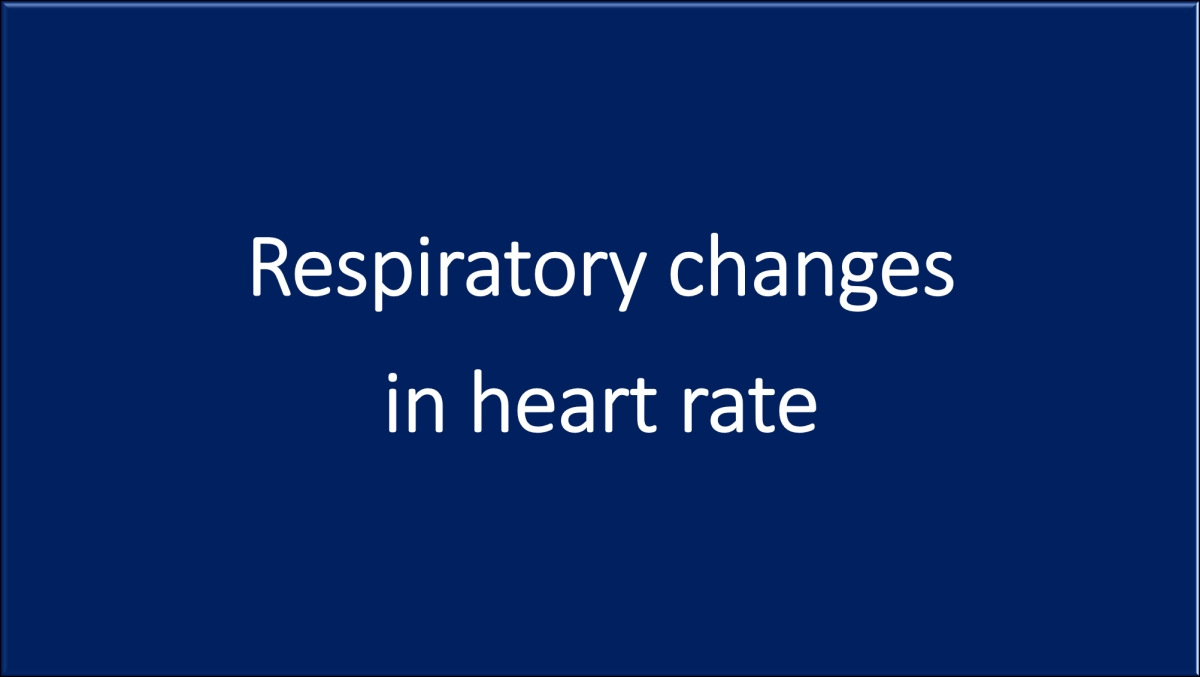 Respiratory changes in heart rate