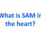 What is SAM in the heart