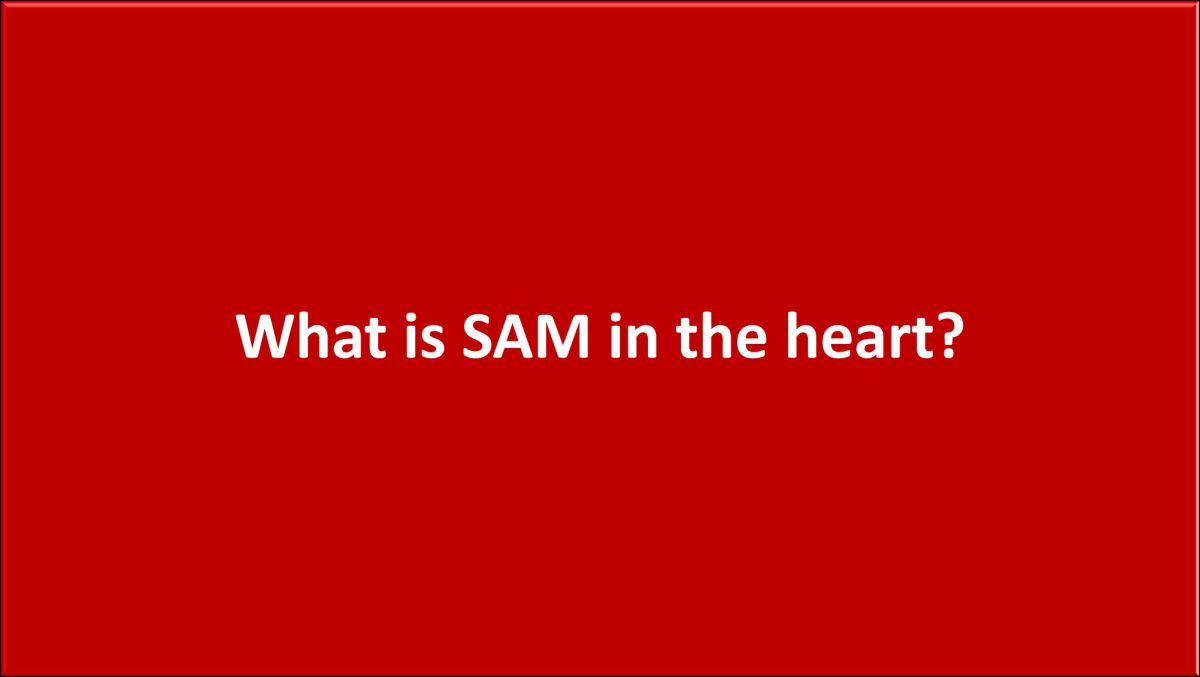 What Is Sam In The Heart?