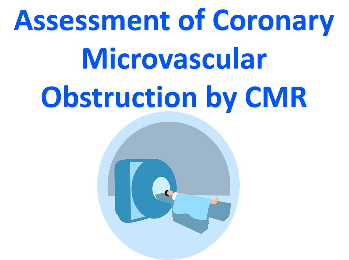 Assessment of coronary microvascular obstruction by CMR - All About ...