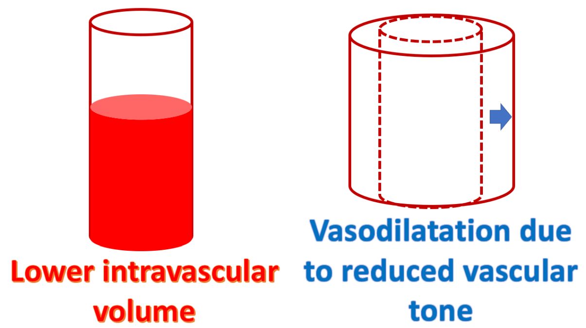 Diuretics lower intravascular volume and vascular tone
