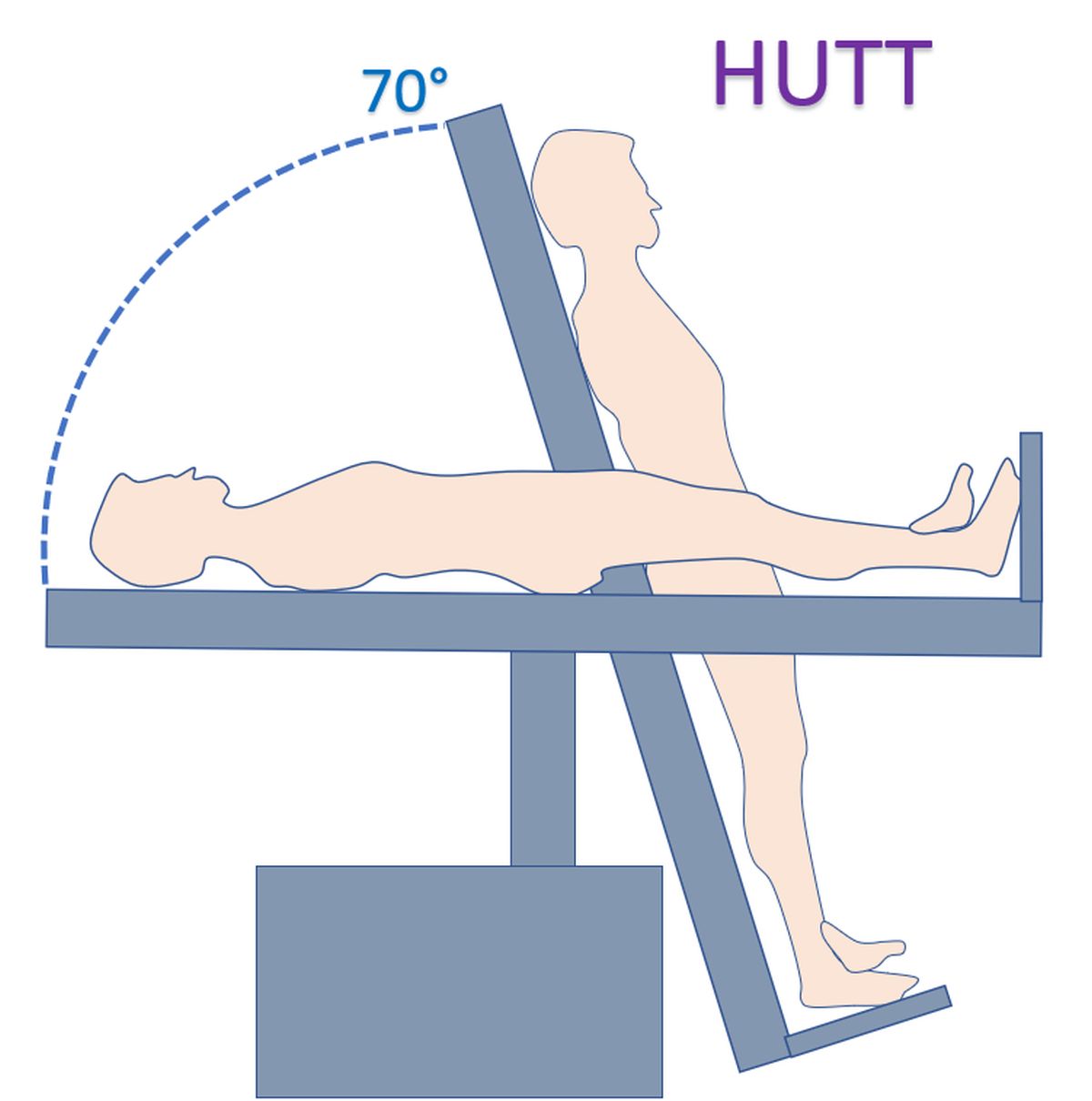 What is head up tilt test HUTT? Cardiology Basics 