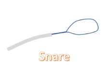 Wire loop snare
