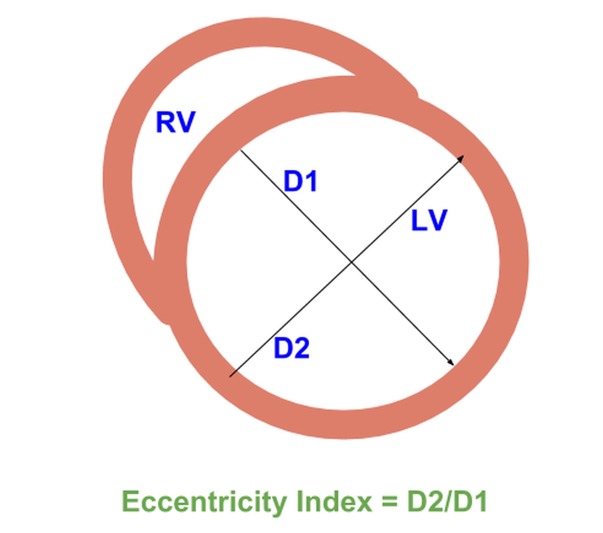 Eccentricity index