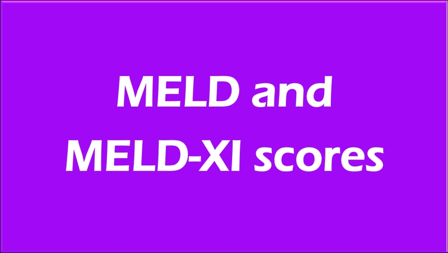 meld score 19