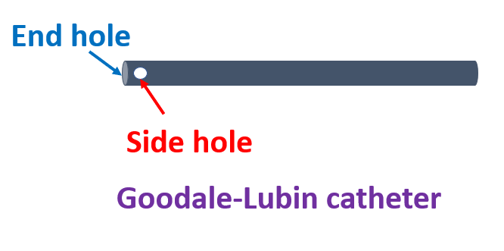 Goodale-Lubin catheter