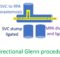 Bidirectional Glenn procedure - schematic diagram