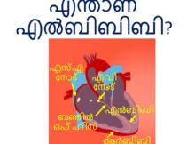 എന്താണ് എൽബിബിബി