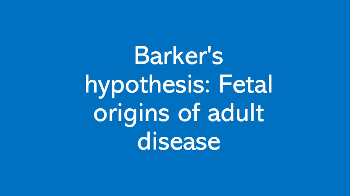 Barker s hypothesis Fetal origins of adult disease All About