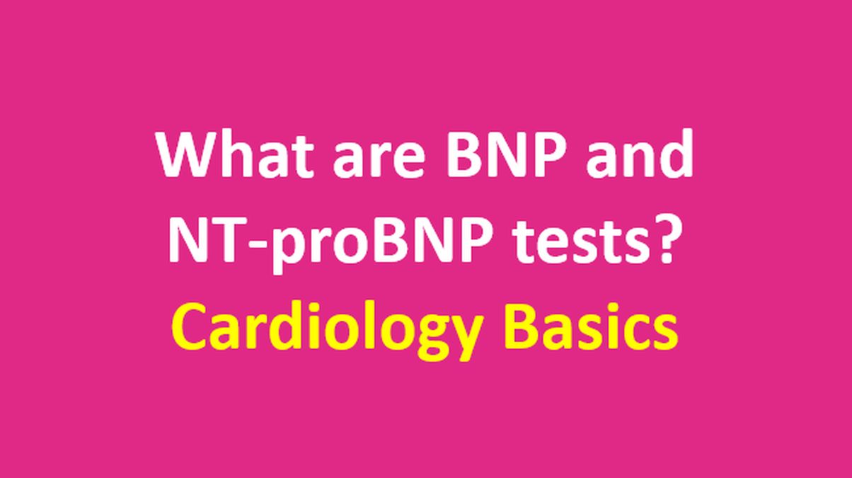 Brain natriuretic peptide test