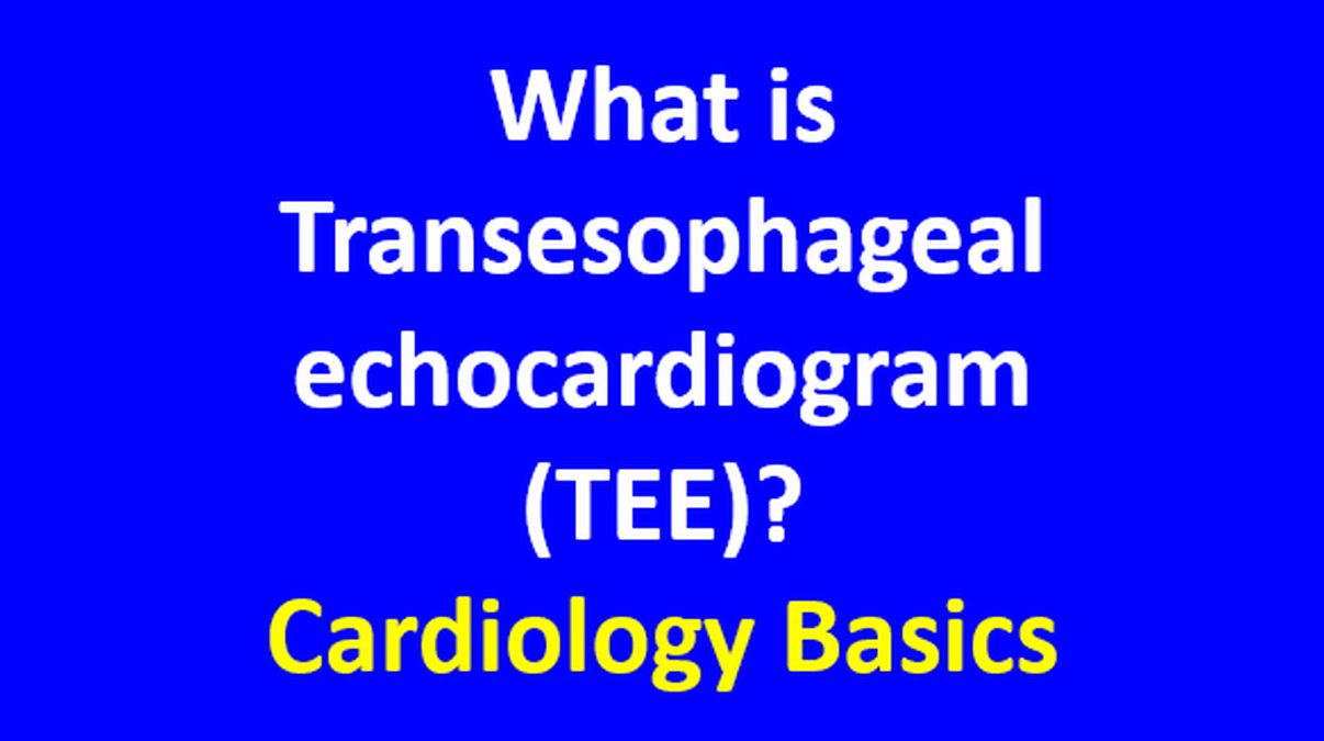 About Your Transesophageal Echocardiogram (TEE)