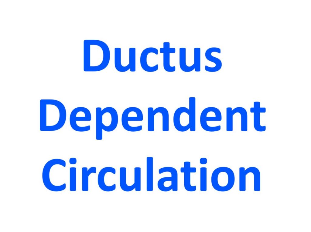 Ductus Dependent Circulation