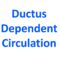 Ductus Dependent Circulation